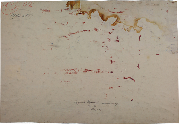 Назаров Константин Борисович. Суздаль. Мужской монастырь 